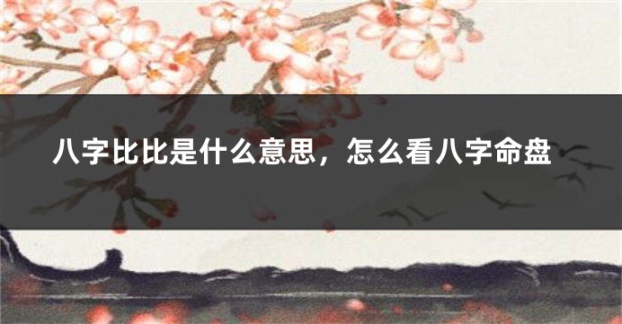 八字比比是什么意思，怎么看八字命盘
