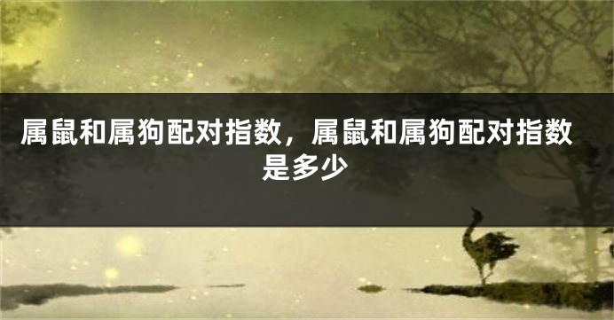 属鼠和属狗配对指数，属鼠和属狗配对指数是多少