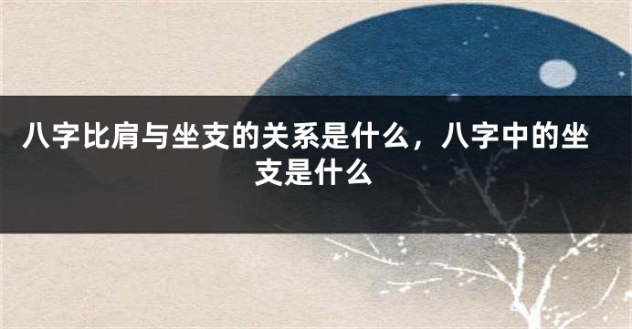 八字比肩与坐支的关系是什么,八字中的坐支是什么