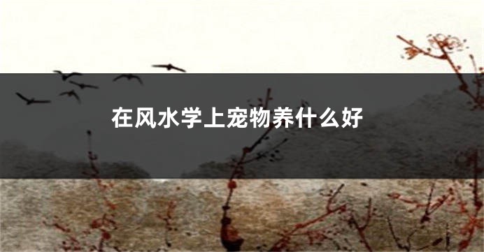 在风水学上宠物养什么好