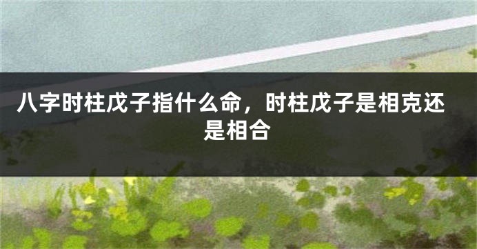 八字时柱戊子指什么命，时柱戊子是相克还是相合