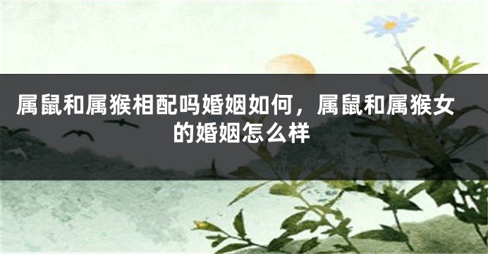 属鼠和属猴相配吗婚姻如何，属鼠和属猴女的婚姻怎么样