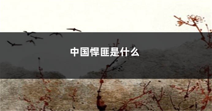中国悍匪是什么