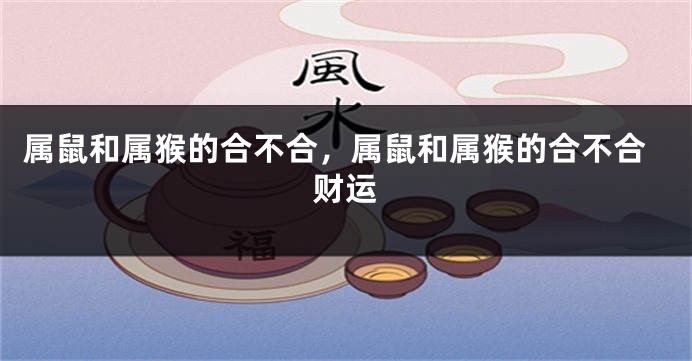 属鼠和属猴的合不合，属鼠和属猴的合不合财运