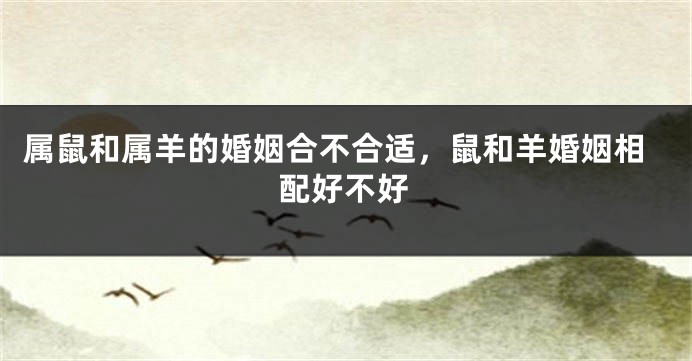 属鼠和属羊的婚姻合不合适，鼠和羊婚姻相配好不好