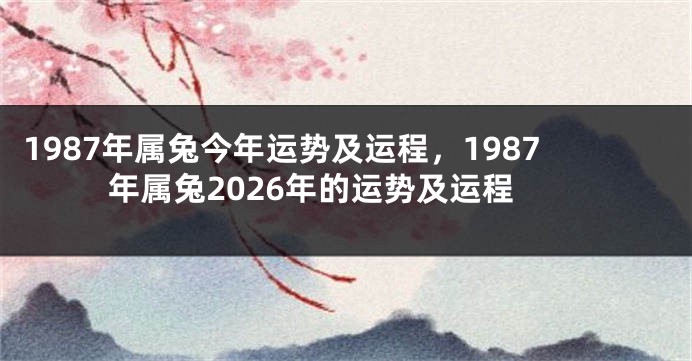 1987年属兔今年运势及运程，1987年属兔2026年的运势及运程