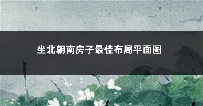 坐北朝南房子最佳布局平面图