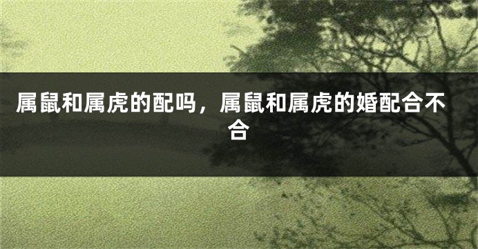 属鼠和属虎的配吗，属鼠和属虎的婚配合不合