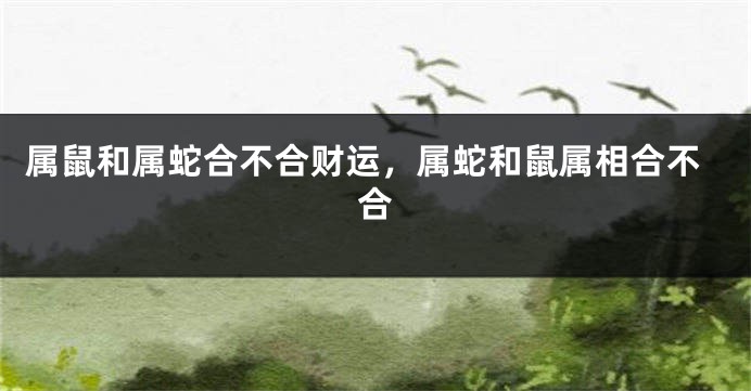 属鼠和属蛇合不合财运，属蛇和鼠属相合不合