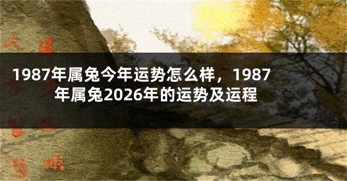 1987年属兔今年运势怎么样，1987年属兔2026年的运势及运程
