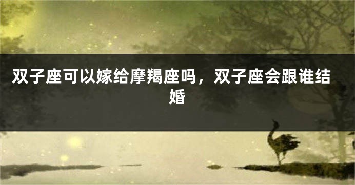 双子座可以嫁给摩羯座吗，双子座会跟谁结婚