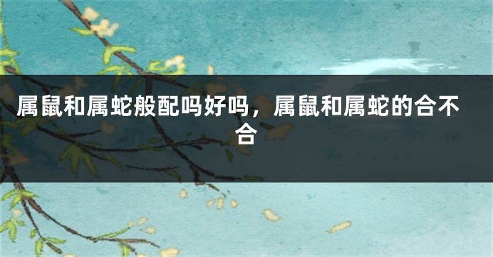 属鼠和属蛇般配吗好吗，属鼠和属蛇的合不合