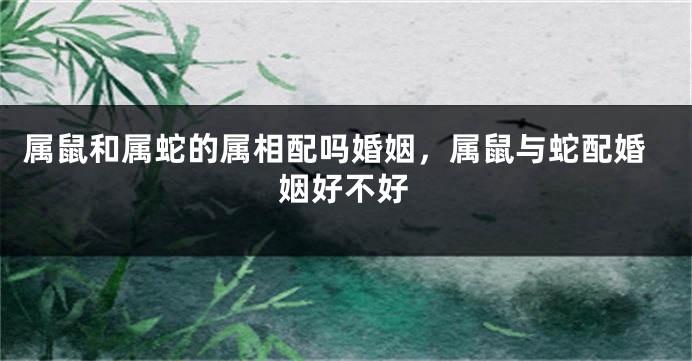 属鼠和属蛇的属相配吗婚姻，属鼠与蛇配婚姻好不好