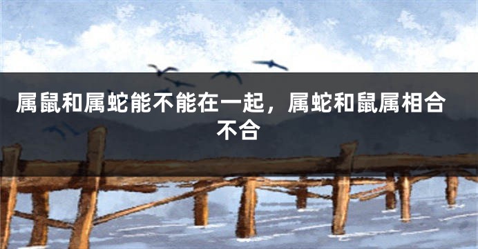 属鼠和属蛇能不能在一起，属蛇和鼠属相合不合