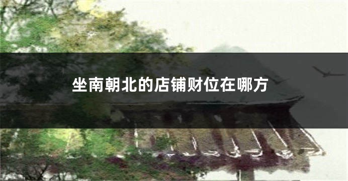 坐南朝北的店铺财位在哪方