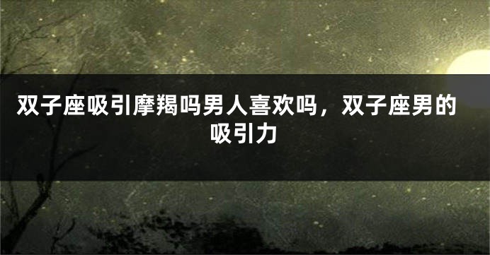 双子座吸引摩羯吗男人喜欢吗，双子座男的吸引力