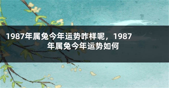 1987年属兔今年运势咋样呢，1987年属兔今年运势如何