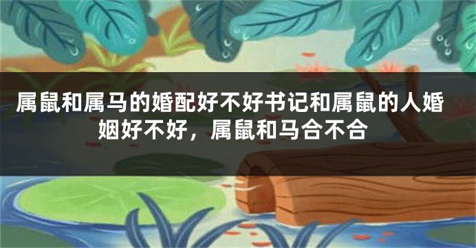 属鼠和属马的婚配好不好书记和属鼠的人婚姻好不好，属鼠和马合不合