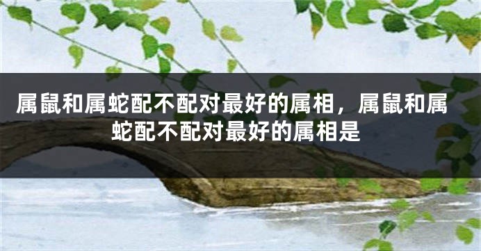 属鼠和属蛇配不配对最好的属相,属鼠和属蛇配不配对最好的属相是