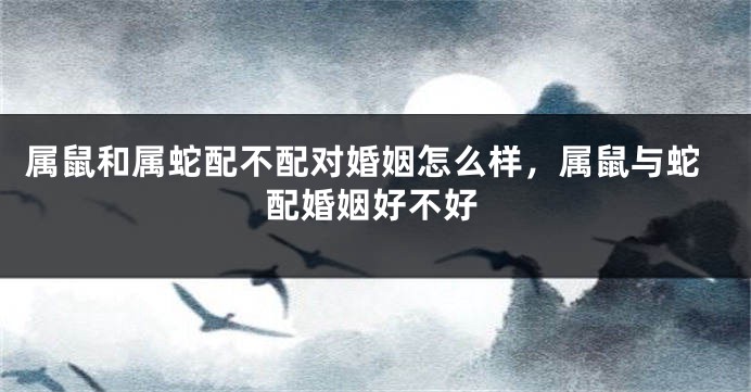 属鼠和属蛇配不配对婚姻怎么样，属鼠与蛇配婚姻好不好