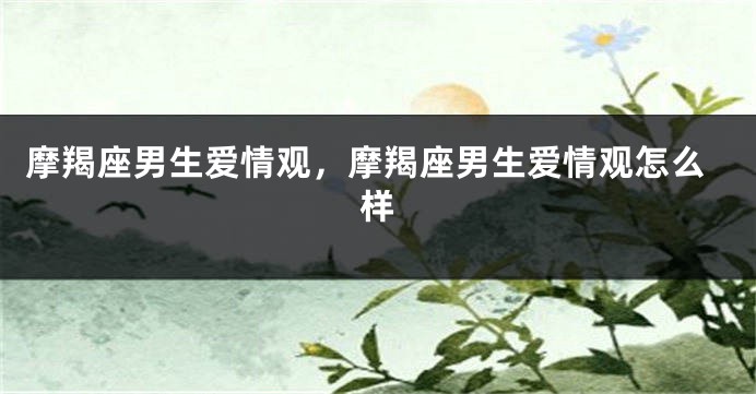 摩羯座男生爱情观，摩羯座男生爱情观怎么样