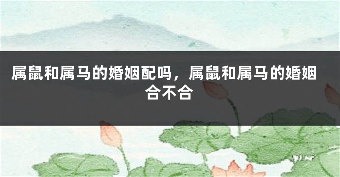 属鼠和属马的婚姻配吗，属鼠和属马的婚姻合不合