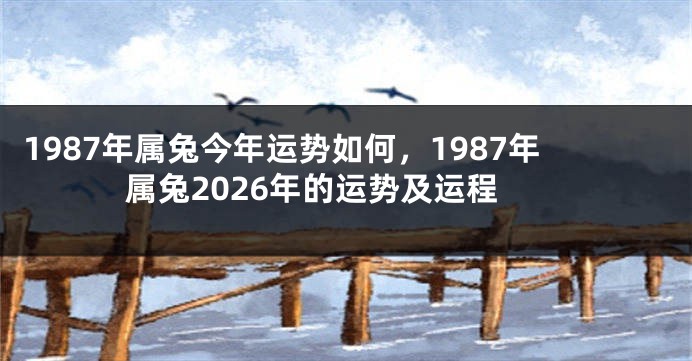 1987年属兔今年运势如何，1987年属兔2026年的运势及运程