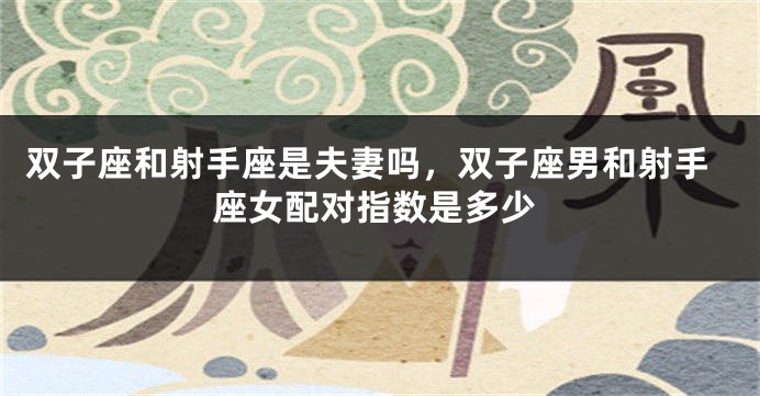 双子座和射手座是夫妻吗，双子座男和射手座女配对指数是多少