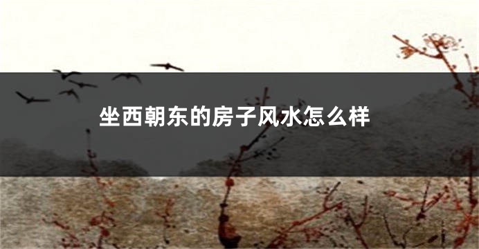 坐西朝东的房子风水怎么样