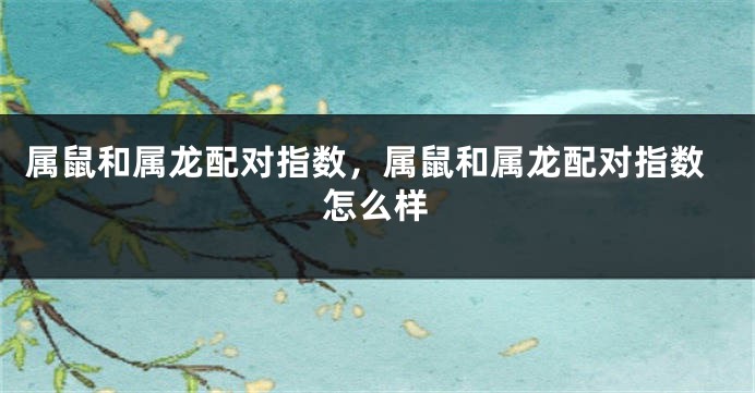 属鼠和属龙配对指数，属鼠和属龙配对指数怎么样
