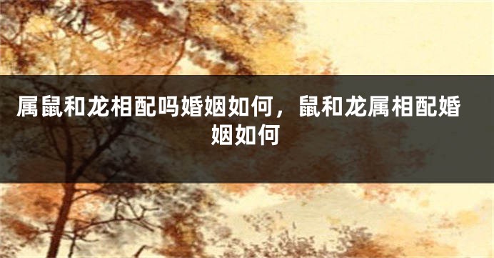 属鼠和龙相配吗婚姻如何，鼠和龙属相配婚姻如何