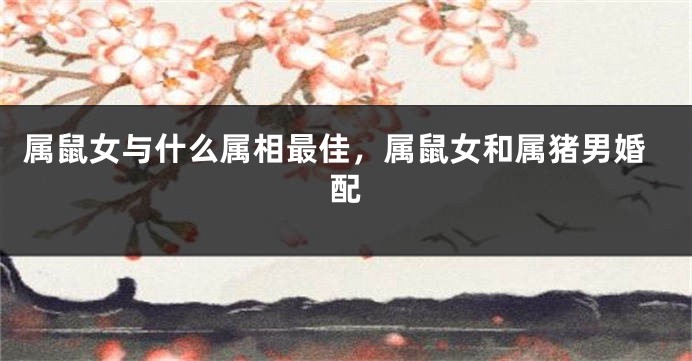 属鼠女与什么属相最佳，属鼠女和属猪男婚配