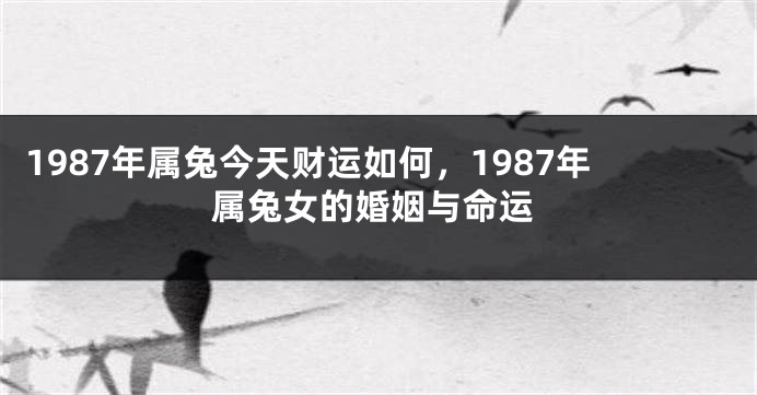 1987年属兔今天财运如何，1987年属兔女的婚姻与命运