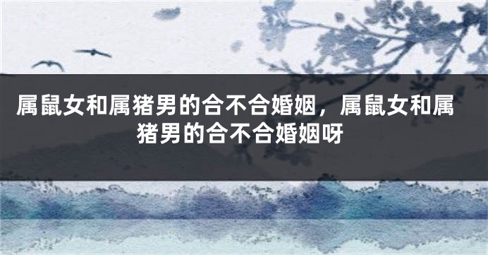 属鼠女和属猪男的合不合婚姻，属鼠女和属猪男的合不合婚姻呀