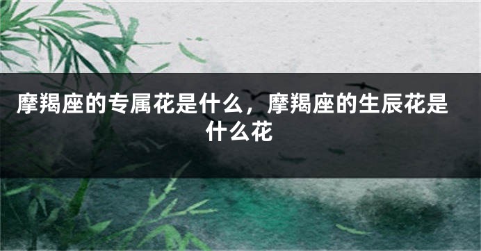 摩羯座的专属花是什么，摩羯座的生辰花是什么花