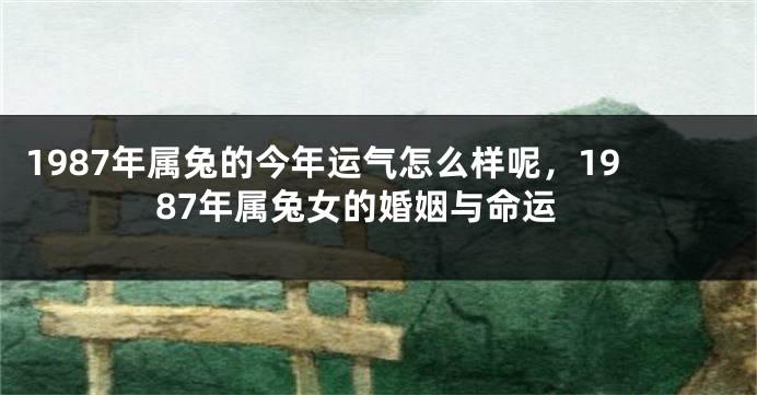 1987年属兔的今年运气怎么样呢，1987年属兔女的婚姻与命运