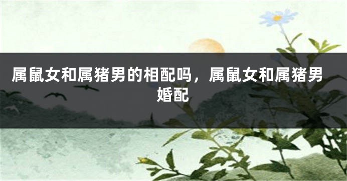 属鼠女和属猪男的相配吗，属鼠女和属猪男婚配