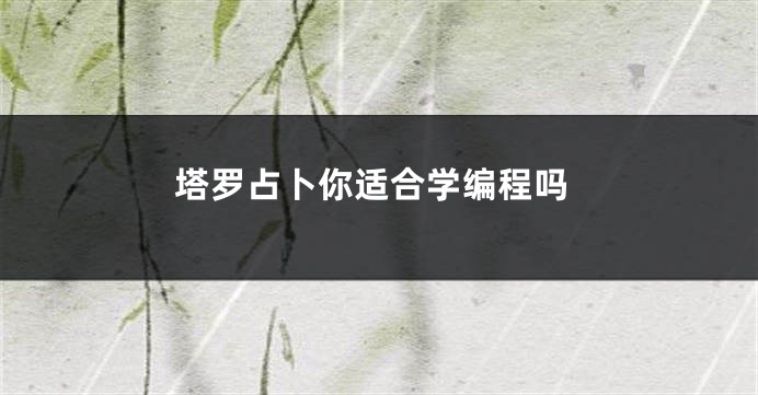 塔罗占卜你适合学编程吗
