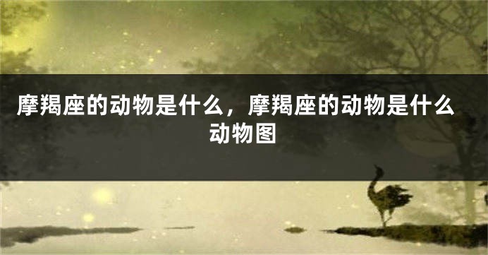 摩羯座的动物是什么，摩羯座的动物是什么动物图