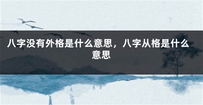 八字没有外格是什么意思，八字从格是什么意思