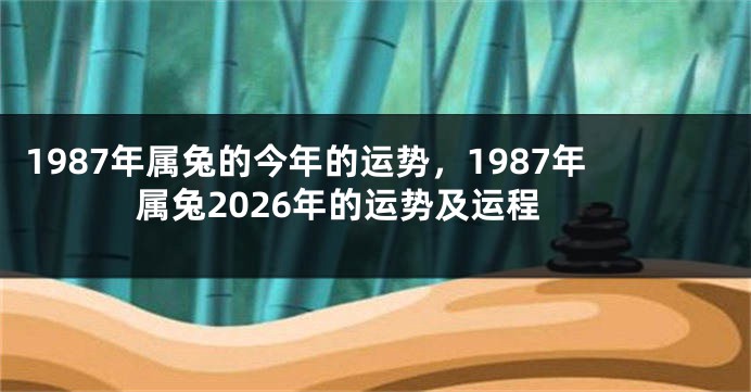 1987年属兔的今年的运势，1987年属兔2026年的运势及运程