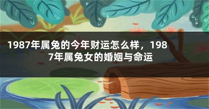 1987年属兔的今年财运怎么样，1987年属兔女的婚姻与命运