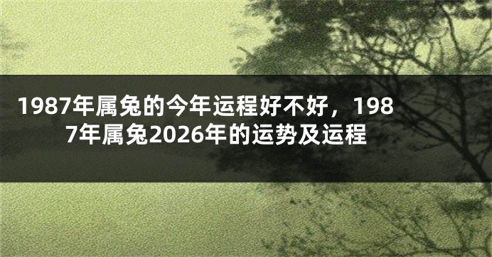 1987年属兔的今年运程好不好，1987年属兔2026年的运势及运程