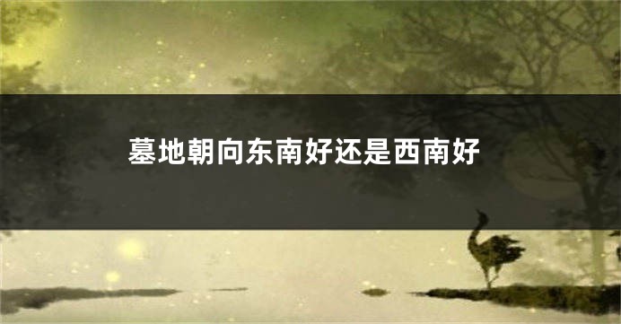 墓地朝向东南好还是西南好