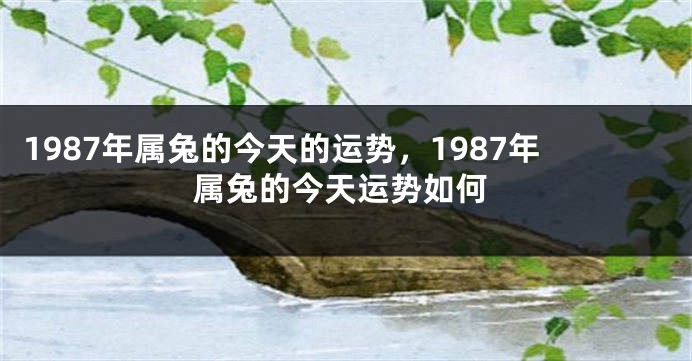 1987年属兔的今天的运势，1987年属兔的今天运势如何
