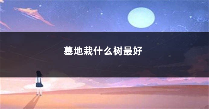墓地栽什么树最好