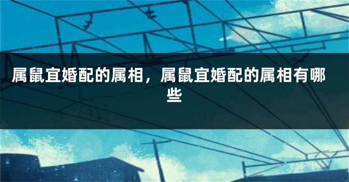 属鼠宜婚配的属相,属鼠宜婚配的属相有哪些