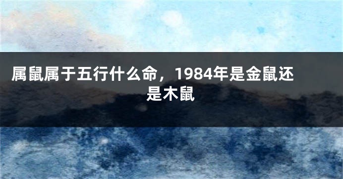 属鼠属于五行什么命，1984年是金鼠还是木鼠