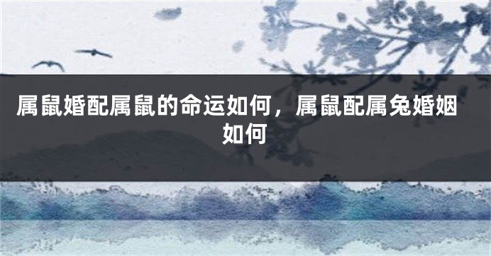 属鼠婚配属鼠的命运如何，属鼠配属兔婚姻如何