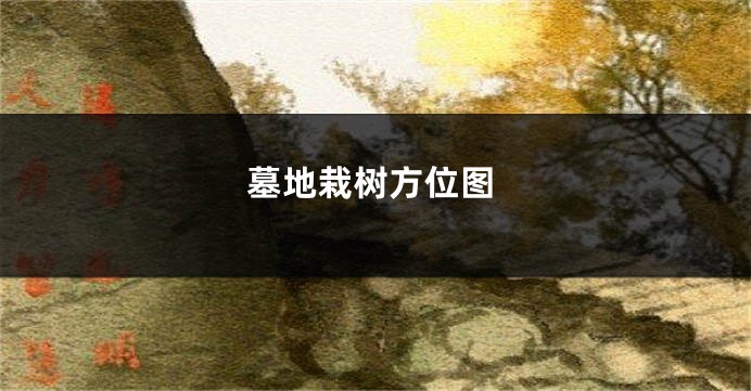 墓地栽树方位图